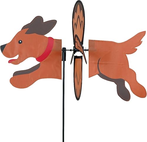 Petite Spinner - Perro disponible en Yaxa Costa Rica