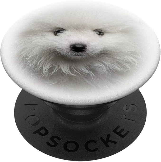 pomeranian popsocket