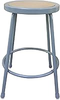 Alera Industrial Metal Shop Stool ALEIS6624G - Durable 24" Steel Frame, 300 lb Capacity, Stackable for Garage Workshop Lab