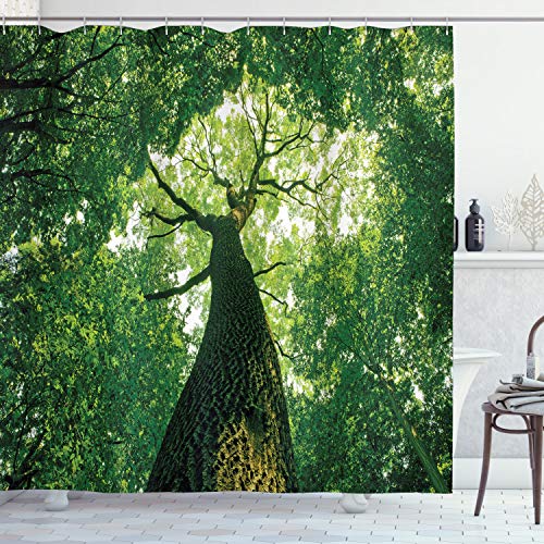ABAKUHAUS Forest Shower Curtain, Tall Old Tree View Sun Rays Top Branches Leaves Nature Picture