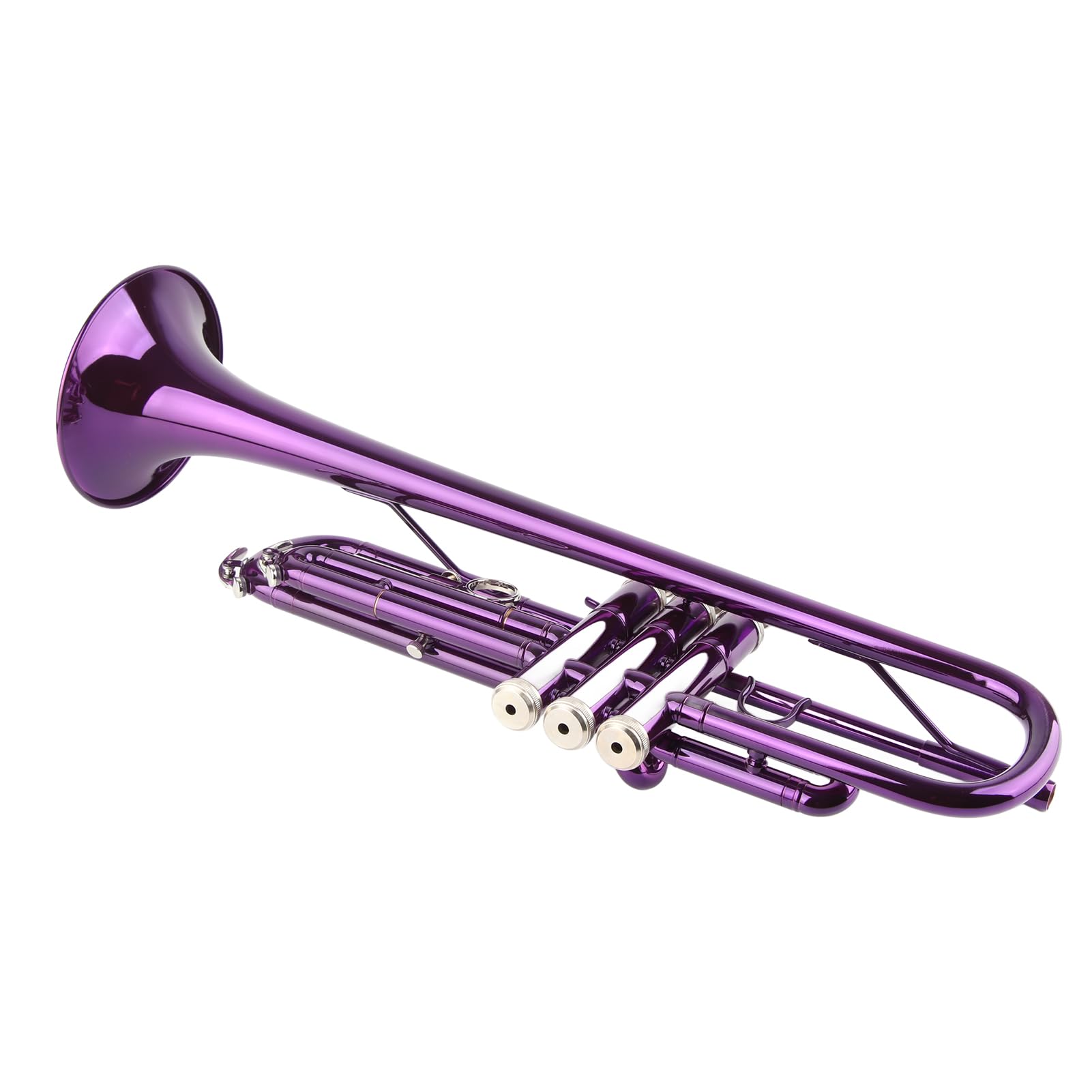 Aramox B-Trompeten-Set für Anfänger mit Koffer, Professionelles Blechblasinstrument mit Zubehör für Studenten und Blaskapelle (PURPLE)