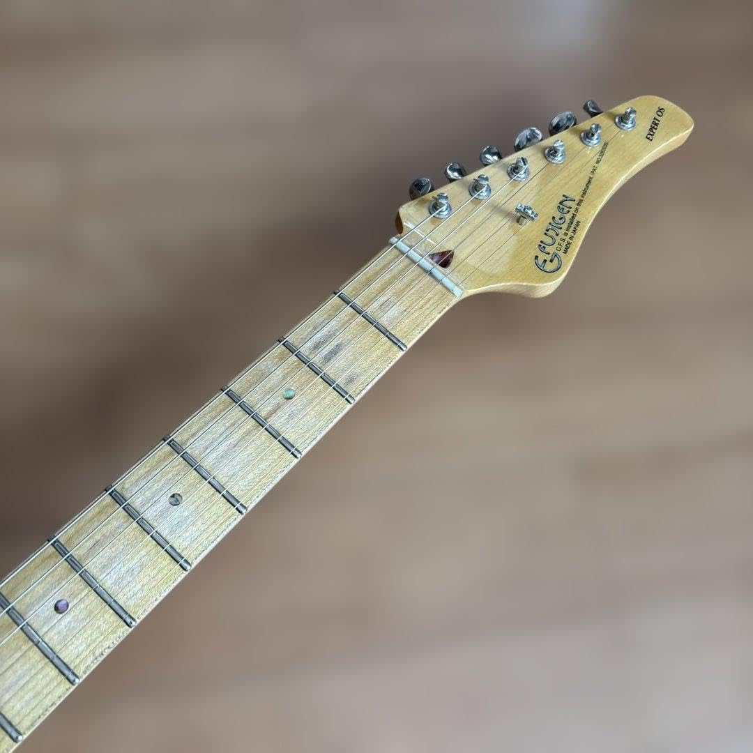 Fujigen EXPERT OS フジゲン FGN Expert ODDYSEY EOS-FM-R/VV 期間限定