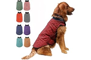 EMUST Dog Jackets: Shivering-Free Winter Attire for Your Canine Companion