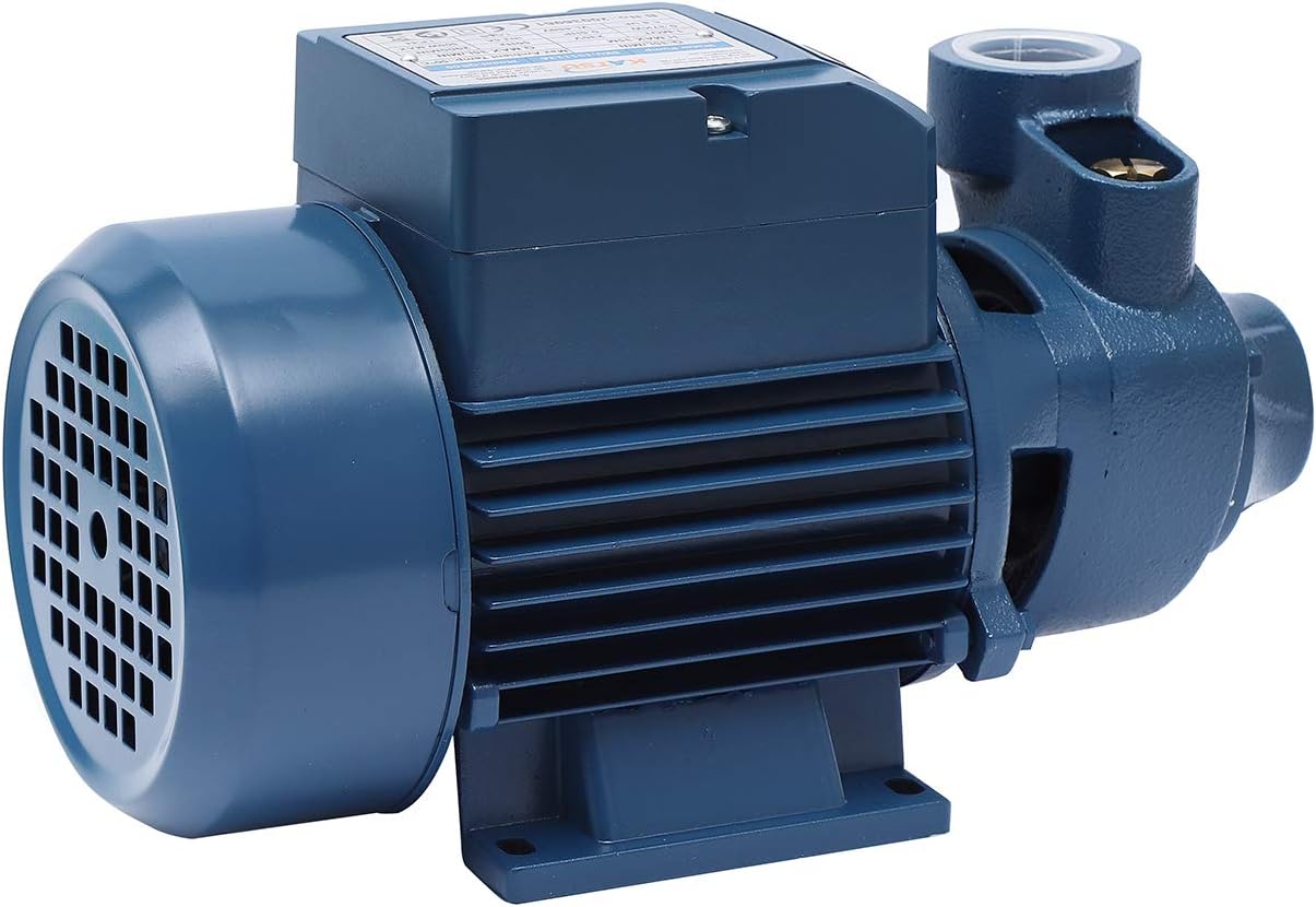 Pompe Centrifuge électrique Ebara DWC-N / I 300 / 1,5 - Neuve - 21810800