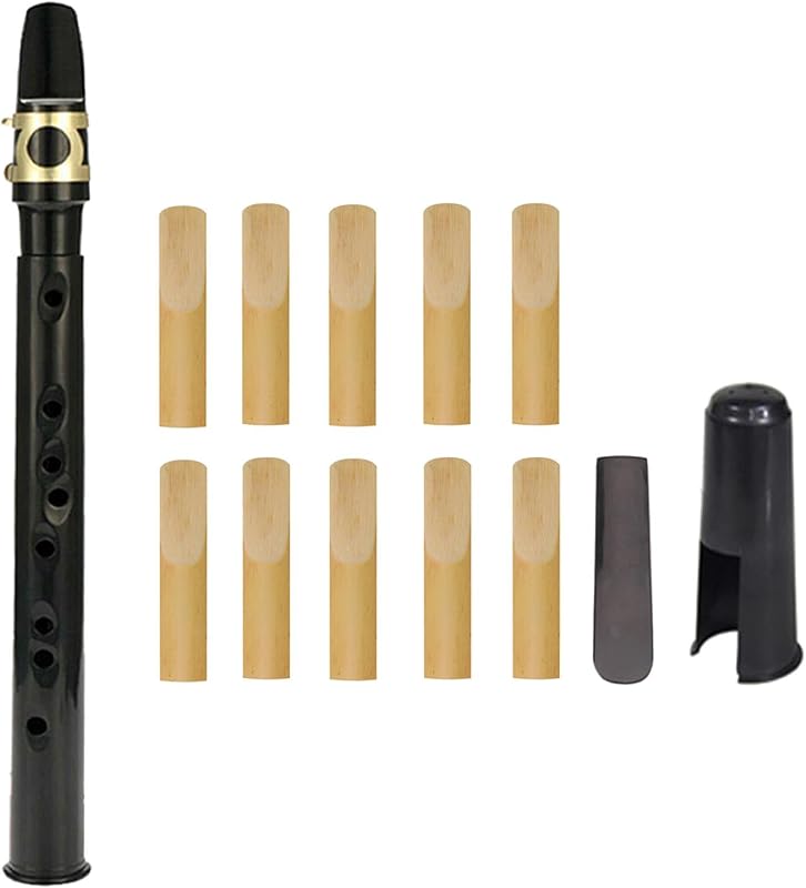 Mini Pocket Saxophone C Key, Easy to Play Portable Compact Woodwind Instrument for Beginners/Kids/Amateurs, Music Lovers/Instrument Players - Black