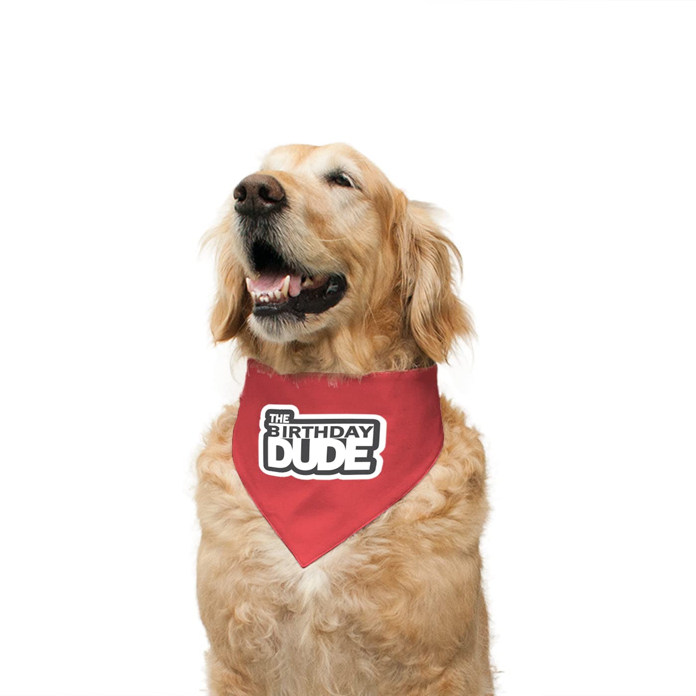 Ruse Reversible Dog Bandana The Birthday Dude Printed 100% Cotton Poppy Red and Vanilla Strawberry Striped Dog Scarf/Dog Gift Adjustable Snap Button for Dogs/Small (B09RSKS1ZQ) Amazon Price History, Amazon Price Tracker