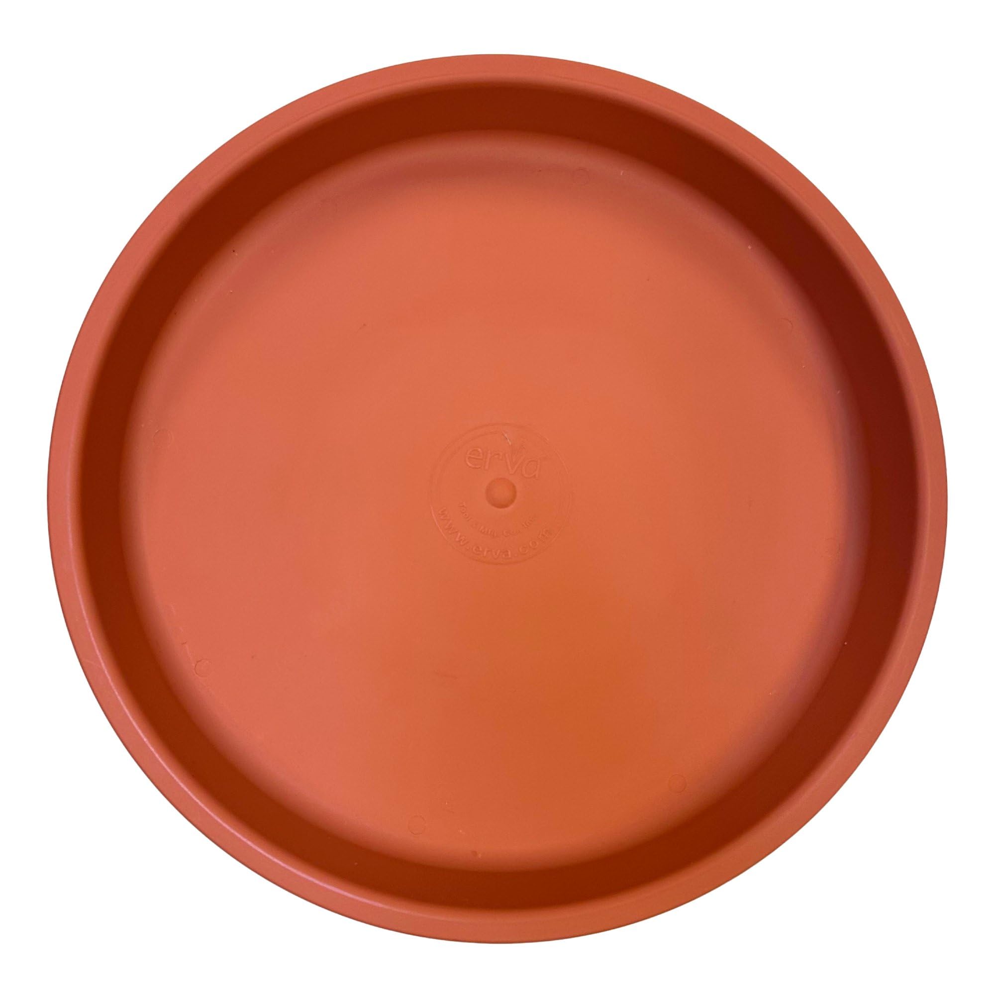 Erva Bird Bath Plastic Dish