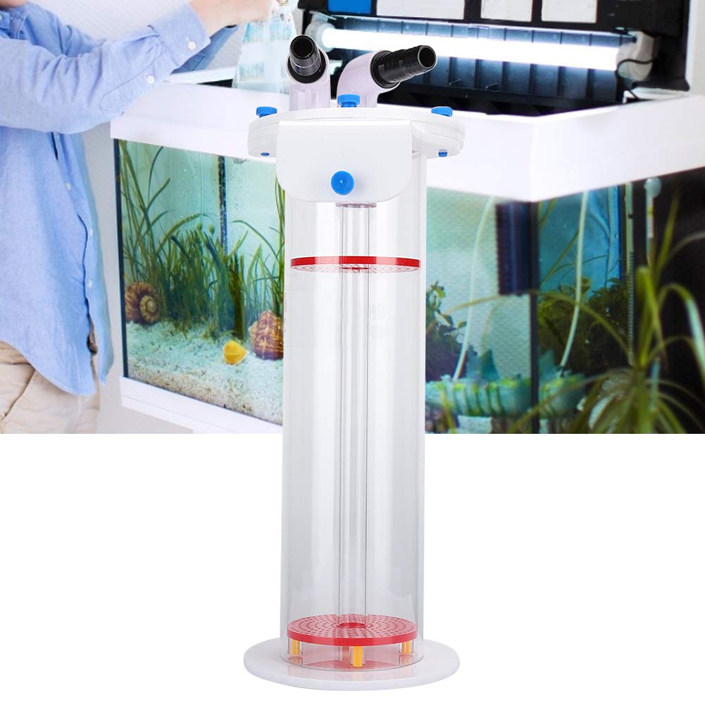 Alomejor Filtre Professionnel en Acrylique pour Aquarium NP Bio Bean, pour Une Filtration Efficace, adapté aux Amateurs D'aquarium