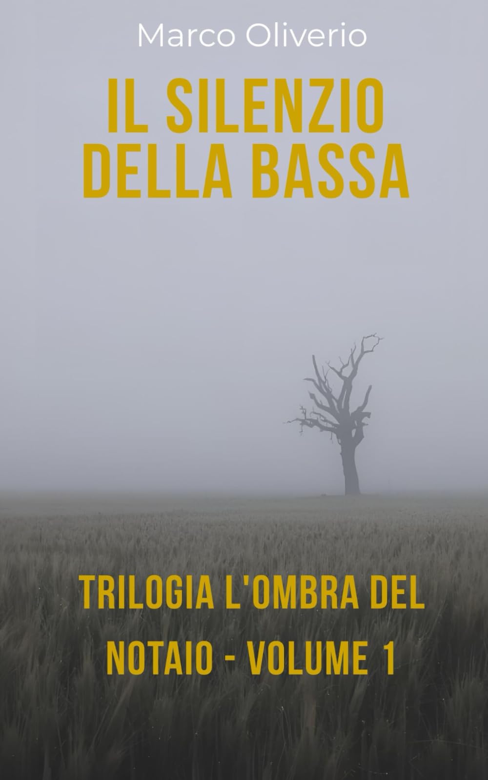 IL SILENZIO DELLA BASSA: Trilogia L'Ombra del Notaio - Volume 1