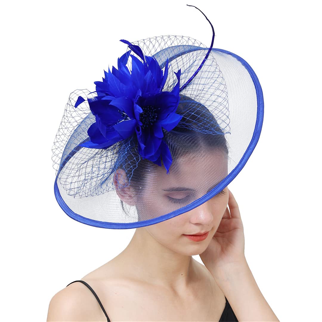 FBHappiness Bride Veils Fascinators Wedding Women Headwear Hair Clip Feather Flower Hair Accessories,Feather Flower Hair Clip(Royal blue)