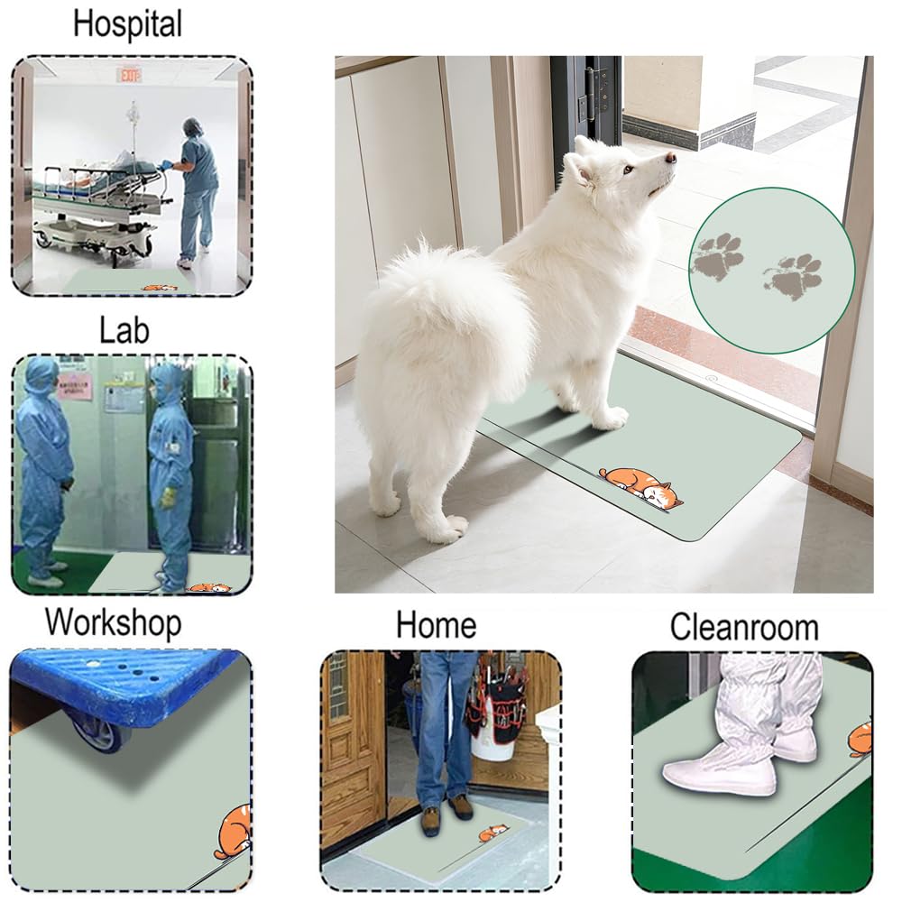 Zerbino antibatterico a 60 strati, strappabile, in polietilene, adesivo, non lavabile, per animali domestici, interni, cucina, porta anteriore e posteriore (40 x 60 cm)