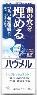 ハウ メル 知覚過敏ケア ペースト 薬用ハミガキ 100g × 1個 【医薬部外品】