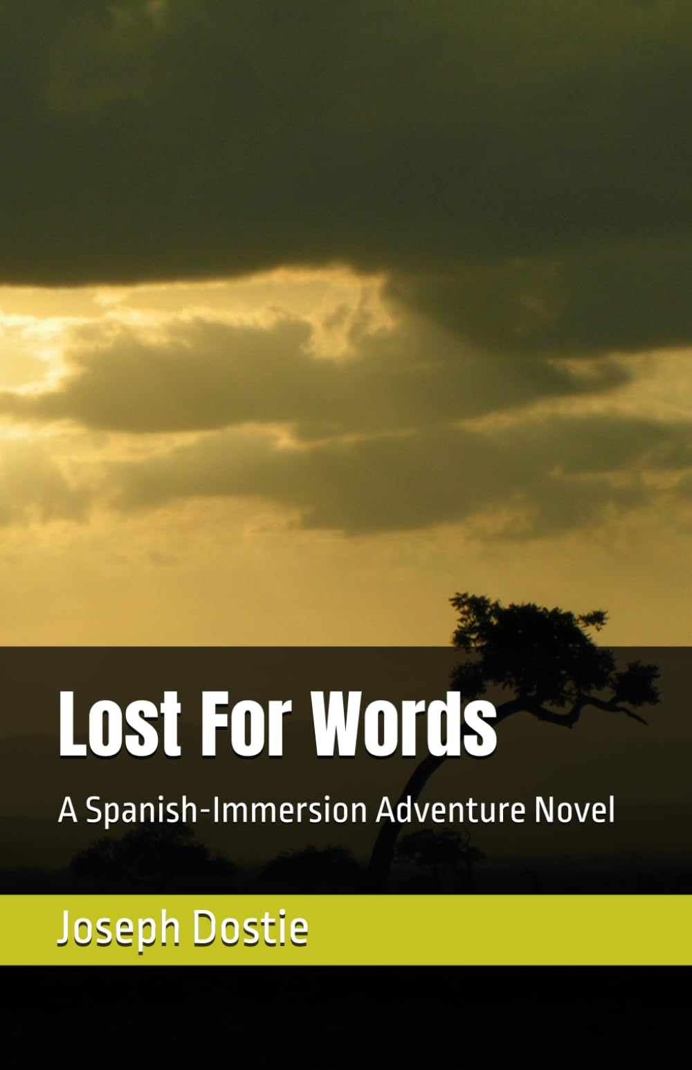 Lost For Words: A Spanish-Immersion Adventure Novel