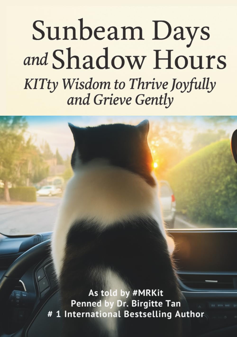 SUNBEAM DAYS and Shadow Hours: KITty Wisdom to Thrive Joyfully and Grieve Gently      Hardcover – August 29, 2025