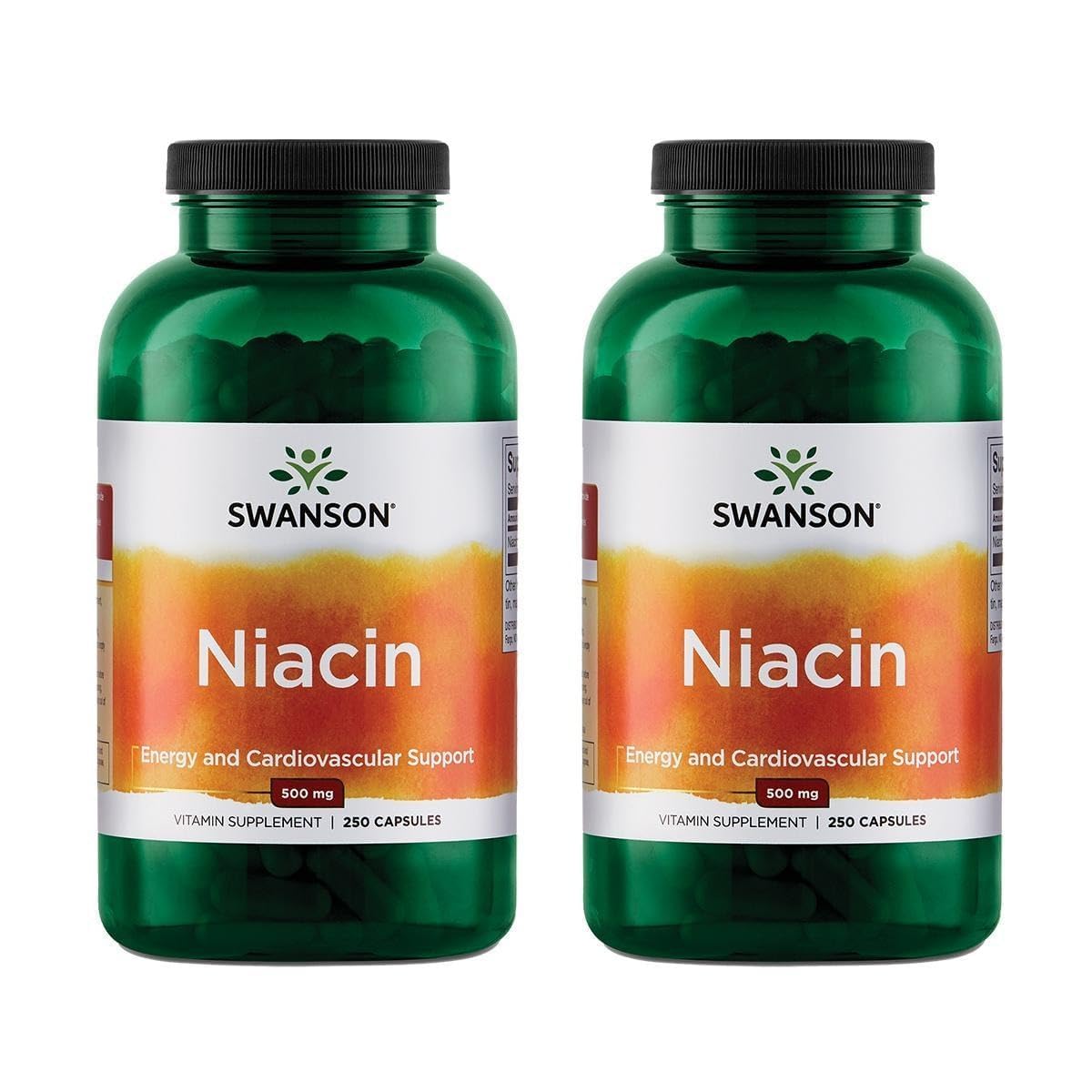 Swanson Niacin (B3) Cardio Health 500 Milligrams, 250 Capsules, 2 Pack 250 Count (Pack of 2)