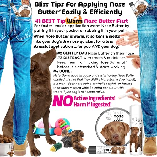 Image of The Blissful Dog Chesapeake Bay Retriever Unscented Nose Butter, 0.50-Ounce
