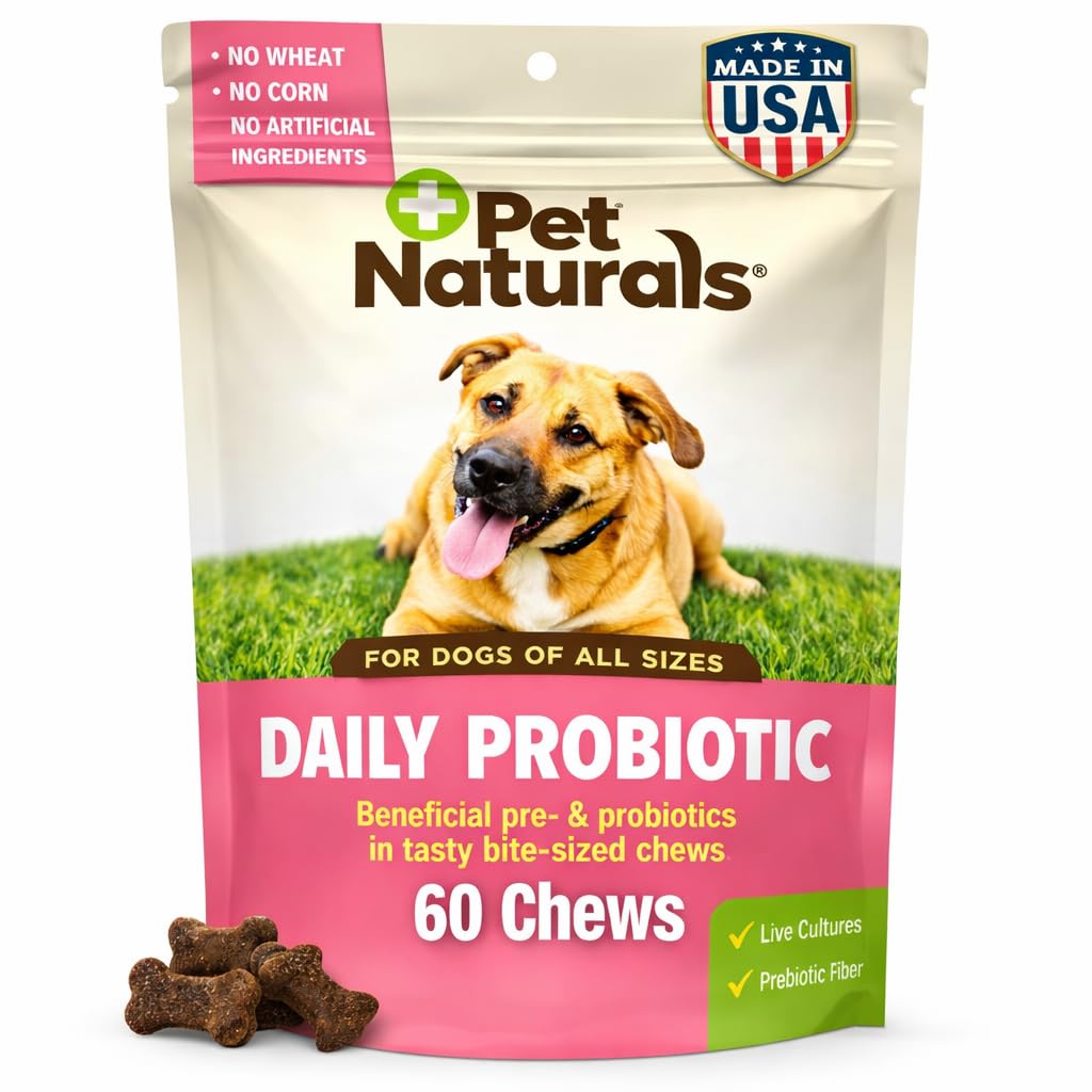 Probiotics for Dogs – 60 Soft Chews, Dog Probiotic Chews for Digestive & Gut Health Support, 120M CFUs + Prebiotics, Immune Support for Occasional Upset Stomach, Duck Flavor, All Breeds