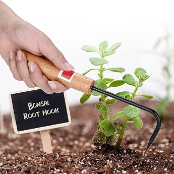 Bonsai Hook SturdyBonsai Root Hook Horticultural Weeding HookSingle Claw Root Hook Bonsai Root Hook Garden Hook Single Claw Root for Digging Weeding Loosening Gardening Potted Landscap