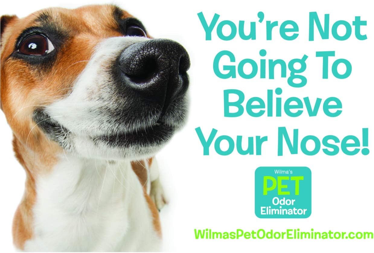 Wilma's Pet Odor Eliminator