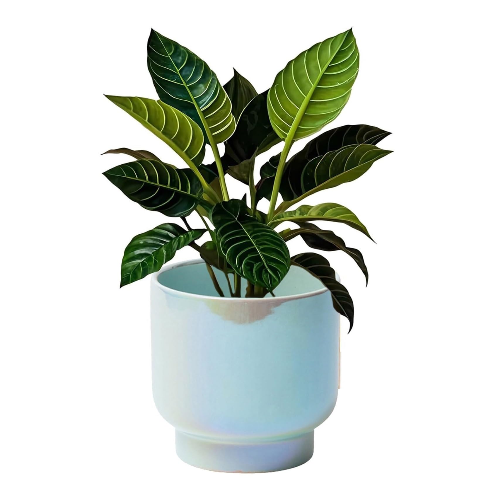 Pots de fleurs pour plantes d'intérieur et décoration maison ronde de couleur bleue moderne