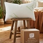 Bamboo Sleeping Bed Queen Size Pillow 2 Pack Made in Canada for Side, Back & Stomach Sleepers | Bamboo Premium Hotel Quality Cover Cooling Microgel Filling Supportive Pillow - 20"X30"