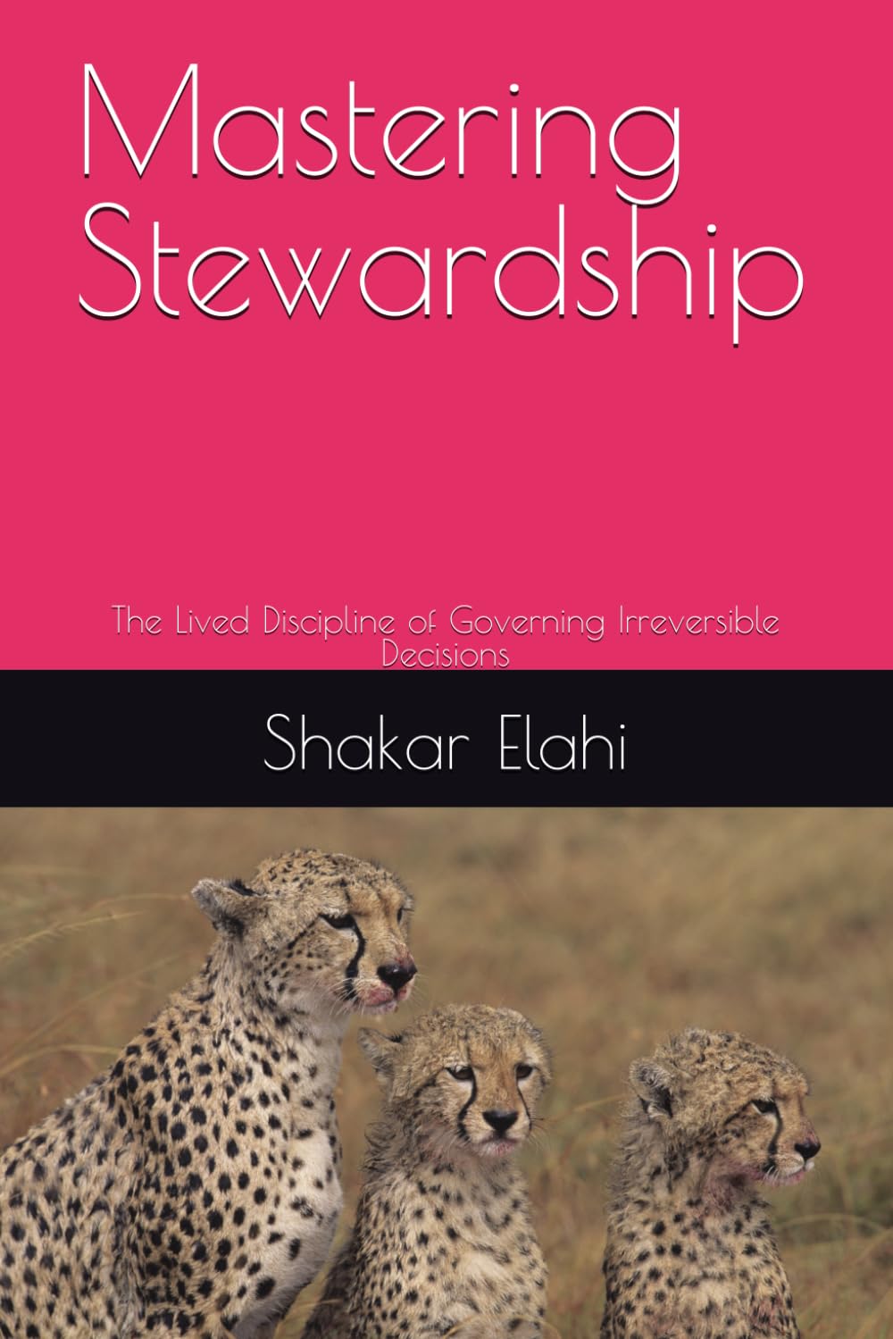 Mastering Stewardship: The Lived Discipline of Governing Irreversible Decisions