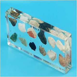 ZMX Real Mineral Stone Specimen Model - Educational Model Ore Specimen Resin-Embedded Model - for Kindergarten Teaching Pupils' Cognition