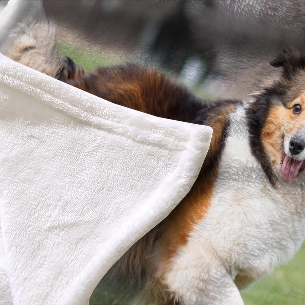 Flanelle Couverture Chien De Berger Chien Animal Berger Shetland Couverture lit 2 Personnes 3D Imprimée Doux Chaud Couverture Queen Super Douce Canape Couverture 2 Personnes 180x220