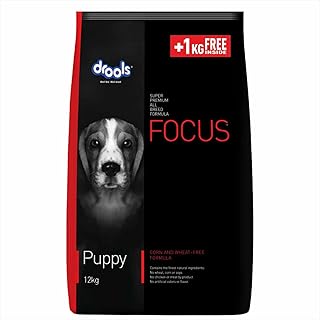 Drools Focus Premium Puppy Dry Dog Food Real Chicken 13 Kg (12Kg+Free 1Kg) | 40% Real Chicken | DHA For Brain Development