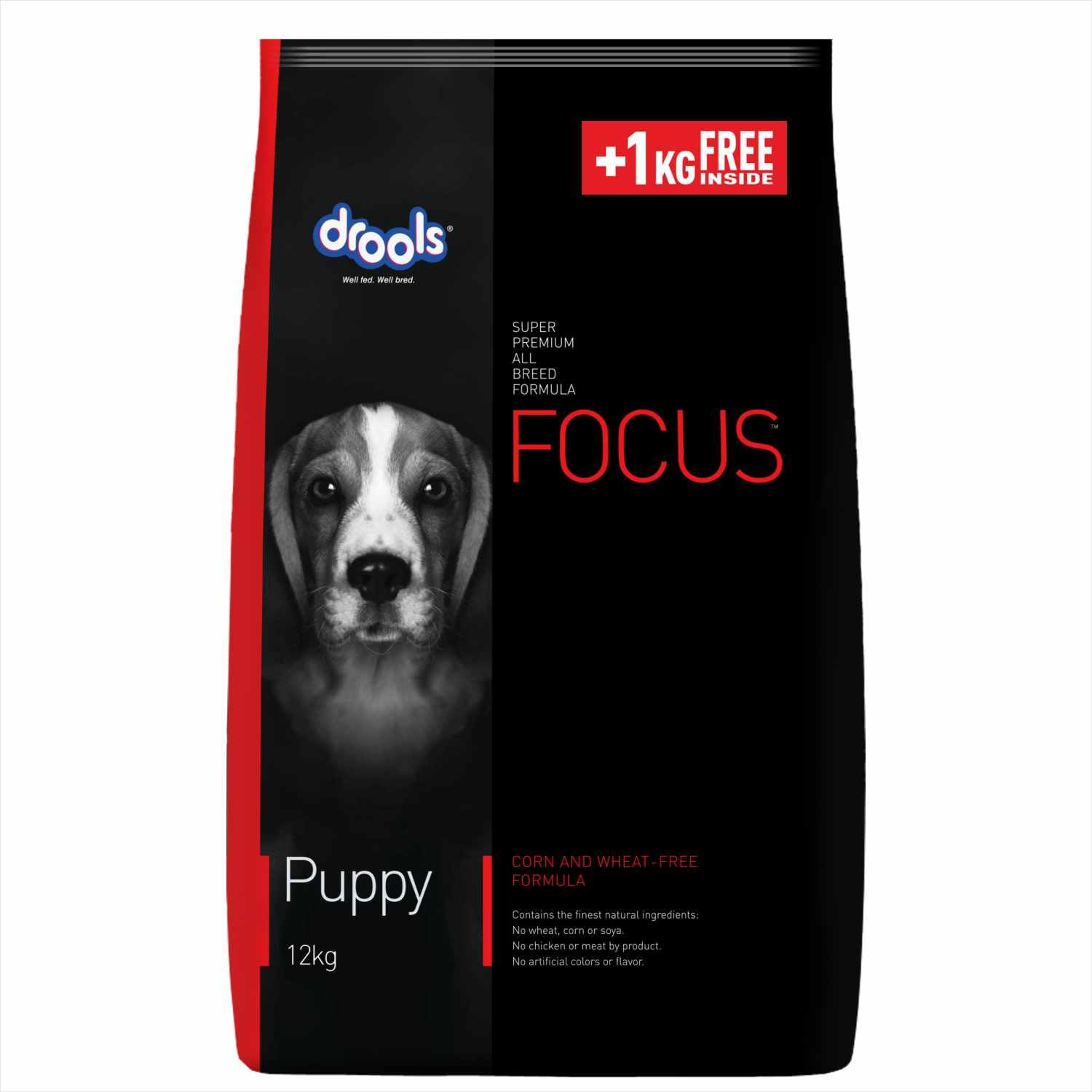 Focus Premium Puppy Dry Dog Food Real Chicken 13 Kg (12Kg+Free 1Kg) | 40% Real Chicken | DHA For Brain Development, Natural Antioxidants For Immunity & Bone Health, Easily Digestible Kibble