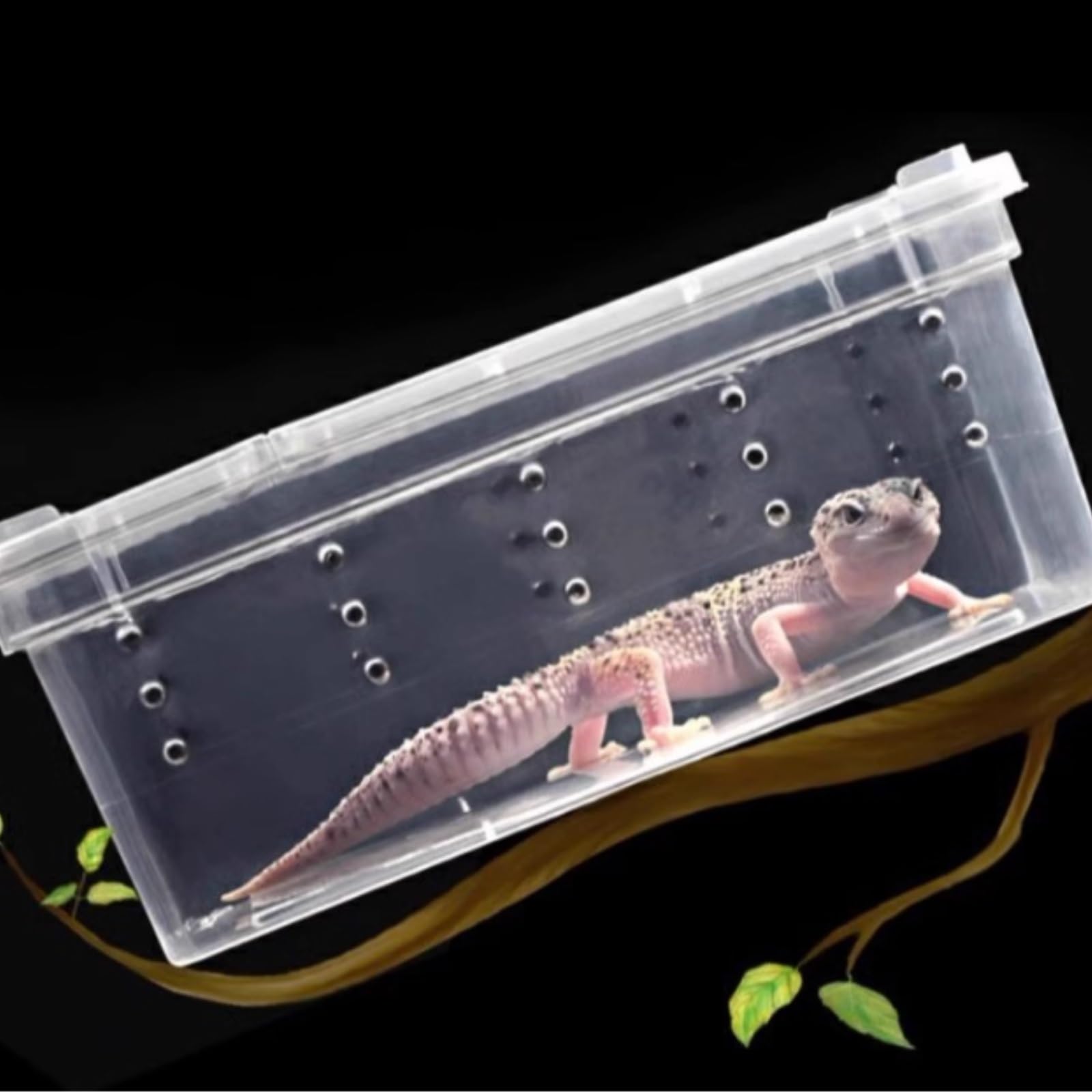 Pudełko Do Karmienia Skrzynka Hodowlana Dla Gadów, Klatka Siedliskowa, Skrzynka Dla Żółwi, Terrarium Dla Żab Terrarium Dla Gadów(25.8cm)