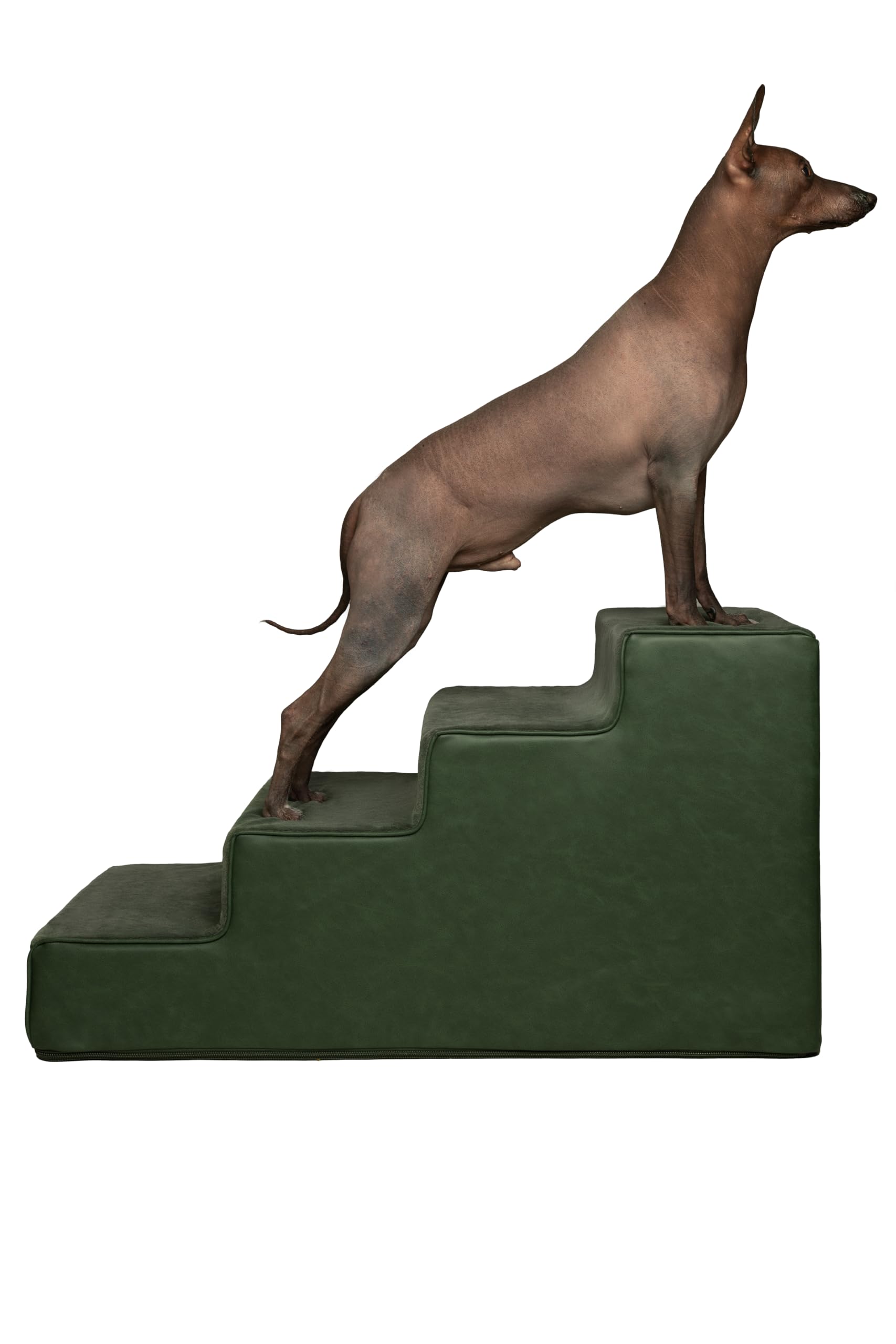 Noah & Paw Dog Stairs, Dog Ramp for Bed (17" Extra Wide) Pet Stairs for High Bed, Design to Fit Small and Large Breeds, Durable 4 Pet Steps for Couch