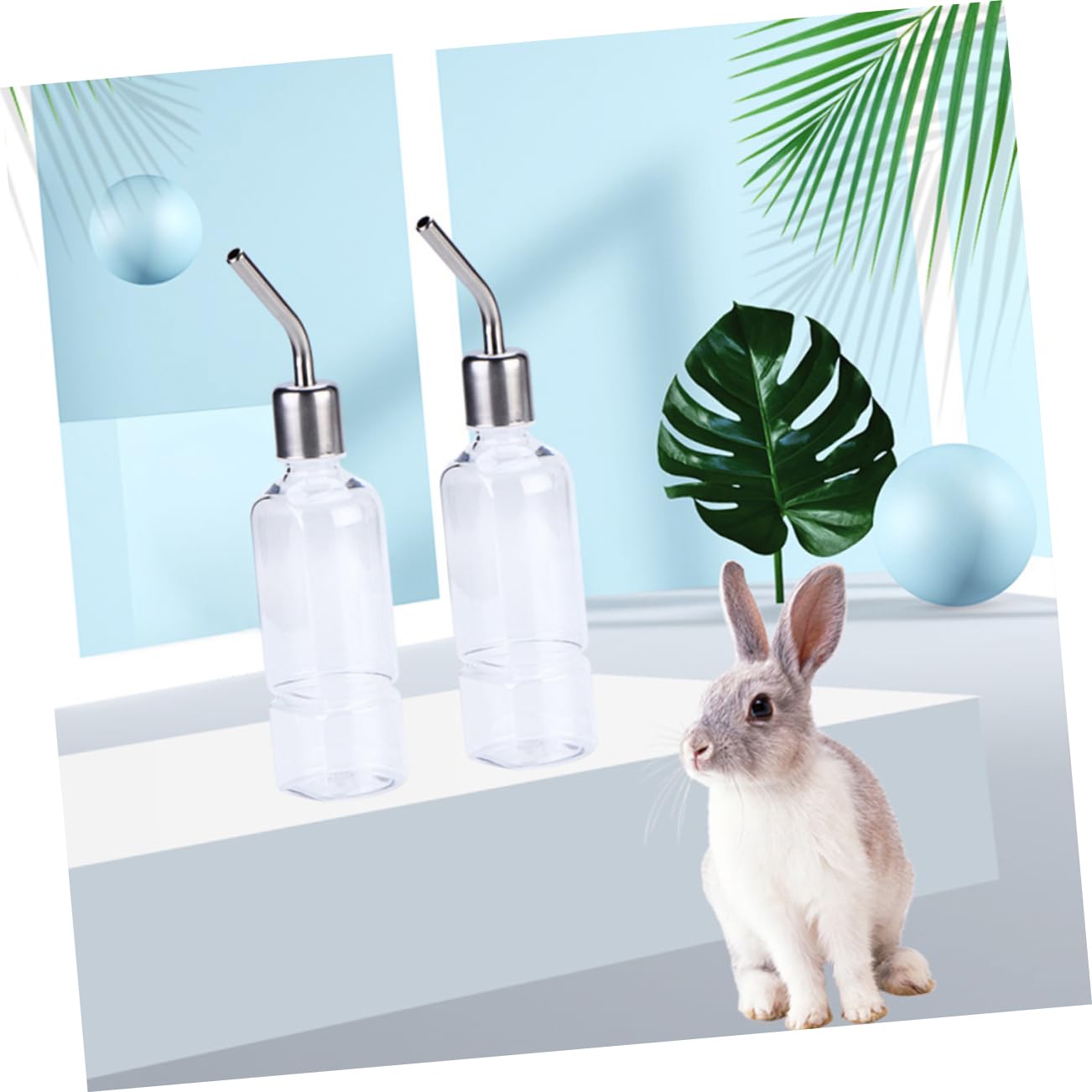 6pezzi Dispenser Per Criceti e Conigli Borraccia Appesa Da Inossidabile Antileak Per Chinchilla e Porcellini Facile Da Installare e Pulire