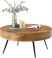 Vista 1 de LKTART Mesa de centro para sala de estar, mesas de centro redondas de madera con almacenamiento, mesa de té moderna de centro de metal