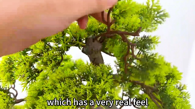 Amazon.com: VIGGDA 3ft（36in） Artificial Bonsai Tree Juniper Faux