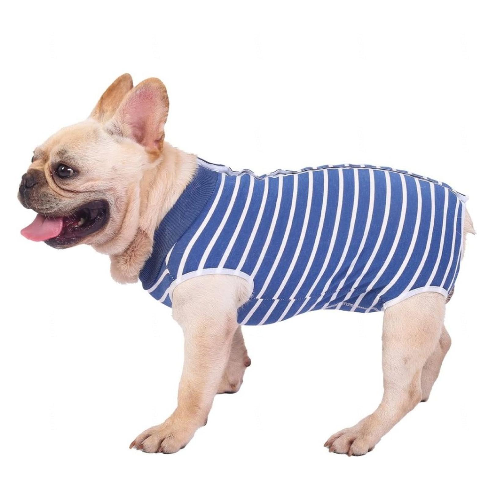FAXIOAWA Tuta per Recupero Cani - Collare elettronico Alternativo Cono Addominale Tuta Alternativa per Recupero sterilizzazione Cani - Tuta per Recupero Cani Maschio -Vu01,Bluestripe-XXXL