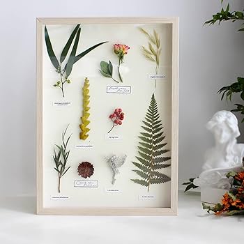 世界に一つの壁掛け植物アート 楽天市場】絵画 モノクロ 植物画 サンセベリアと多肉植物と