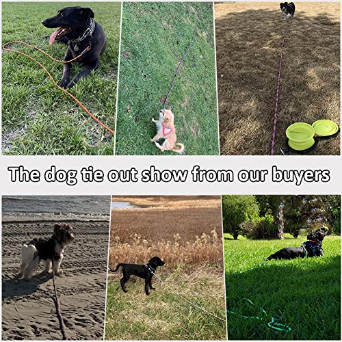 Btinesful Tie-Out Check Cord Long Rope Dog Leash, 8Ft 12Ft 20Ft 30Ft 50Ft Recall Training Lead Leash- Great For Large Medium Small Dogs Training, Playing, Camping, Or Backyard (12Ft, Orange Black) #TOP6