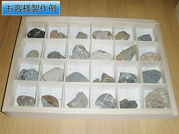 Amazon.co.jp: 完成品 標本箱大 24マスセット : おもちゃ