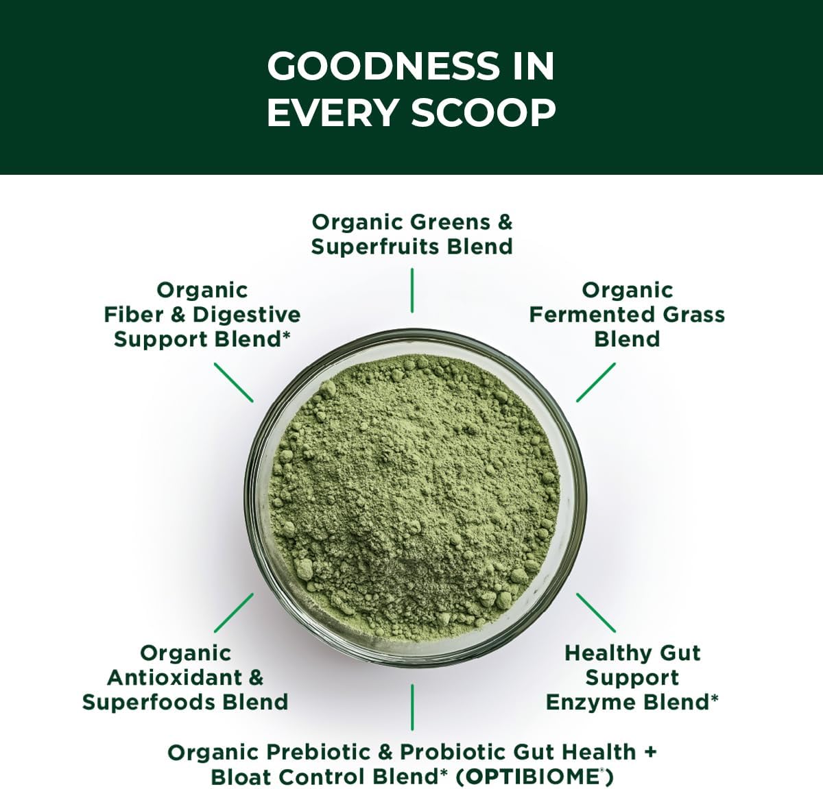 Green Biome - Elite Organic Greens Superfood + Daily OptiBiome Probiotic - Optimized to Promote Bloating Relief, Digestive Comfort + Regularity, Energy - Vegan. Gluten Free -Apple Flavor - 30 Servings