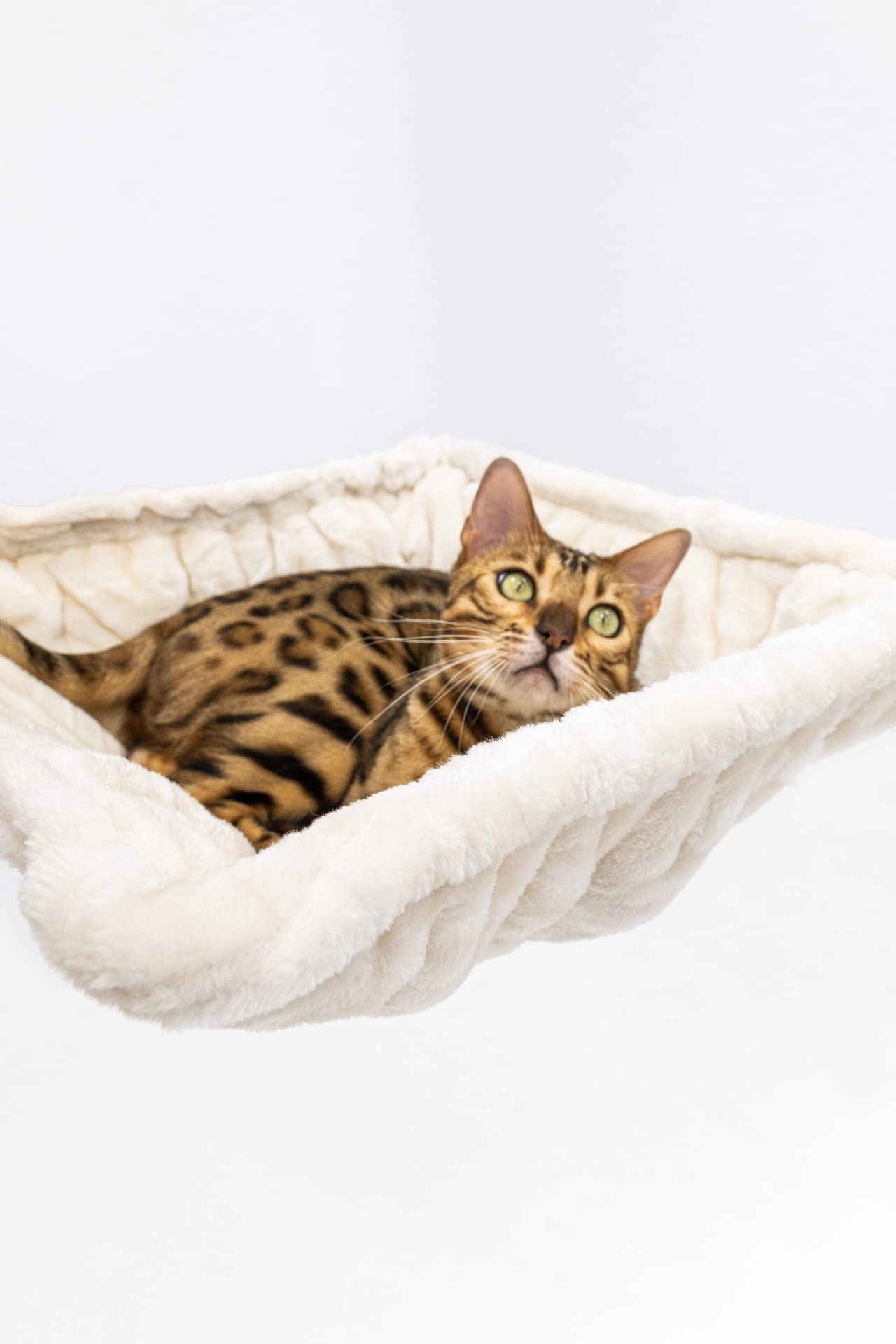 Petrebels Kratzbaum XXL für große Katzen, Parklane 175, Creme | sehr stabil, Ø 12 und Ø 15 cm dicke Stämme, mit XL Hängematte, Schlafhöhle, Loungesofa, dicke Bodenplatte, für mehrere Katzen