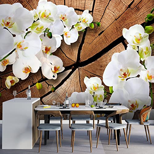 Runa Art Carta da parati fotografica legno 3D