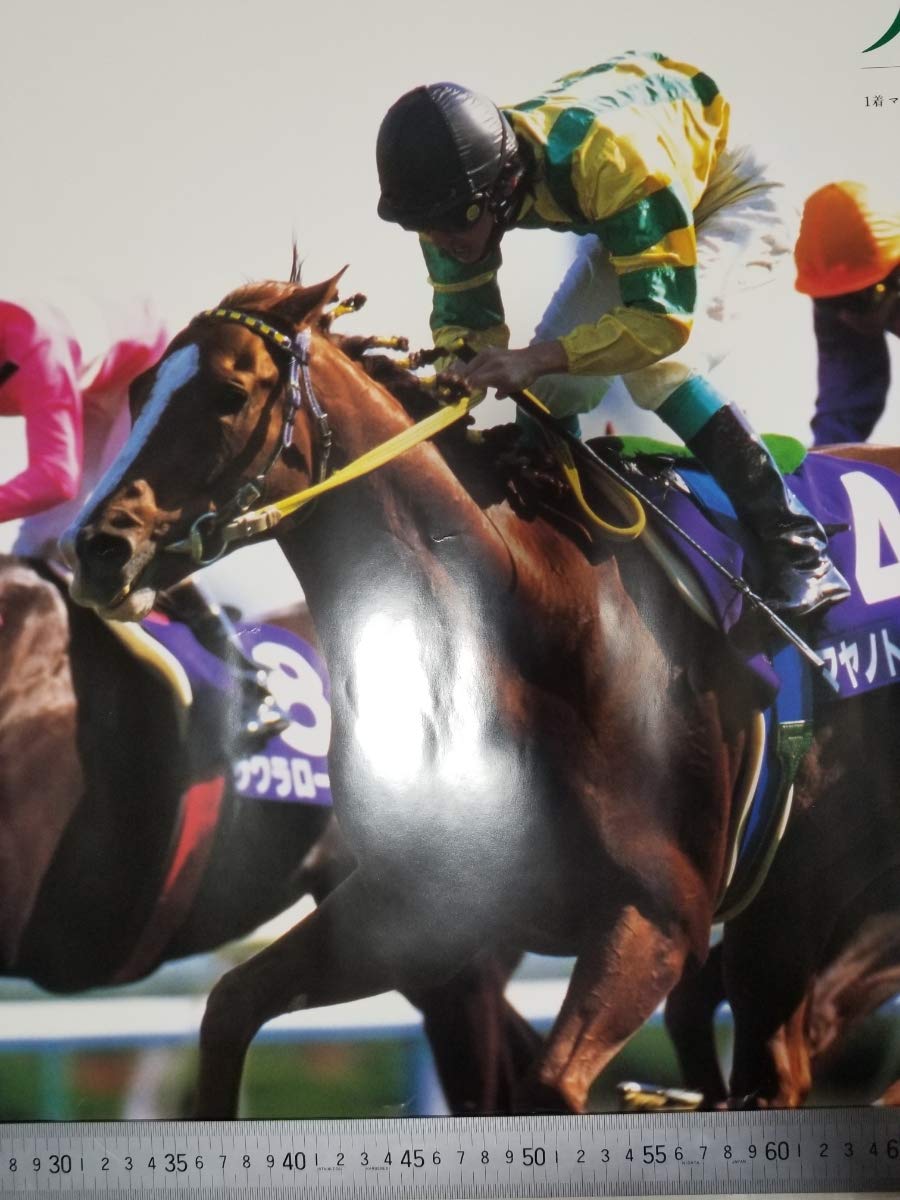 第115回 天皇賞(春) ポスター B2  マヤノトップガン サクラローレル 	マーベラスサンデー 競馬 JRA Amazon.co.jp: マヤノトップガン サクラローレル マーベラスサンデー