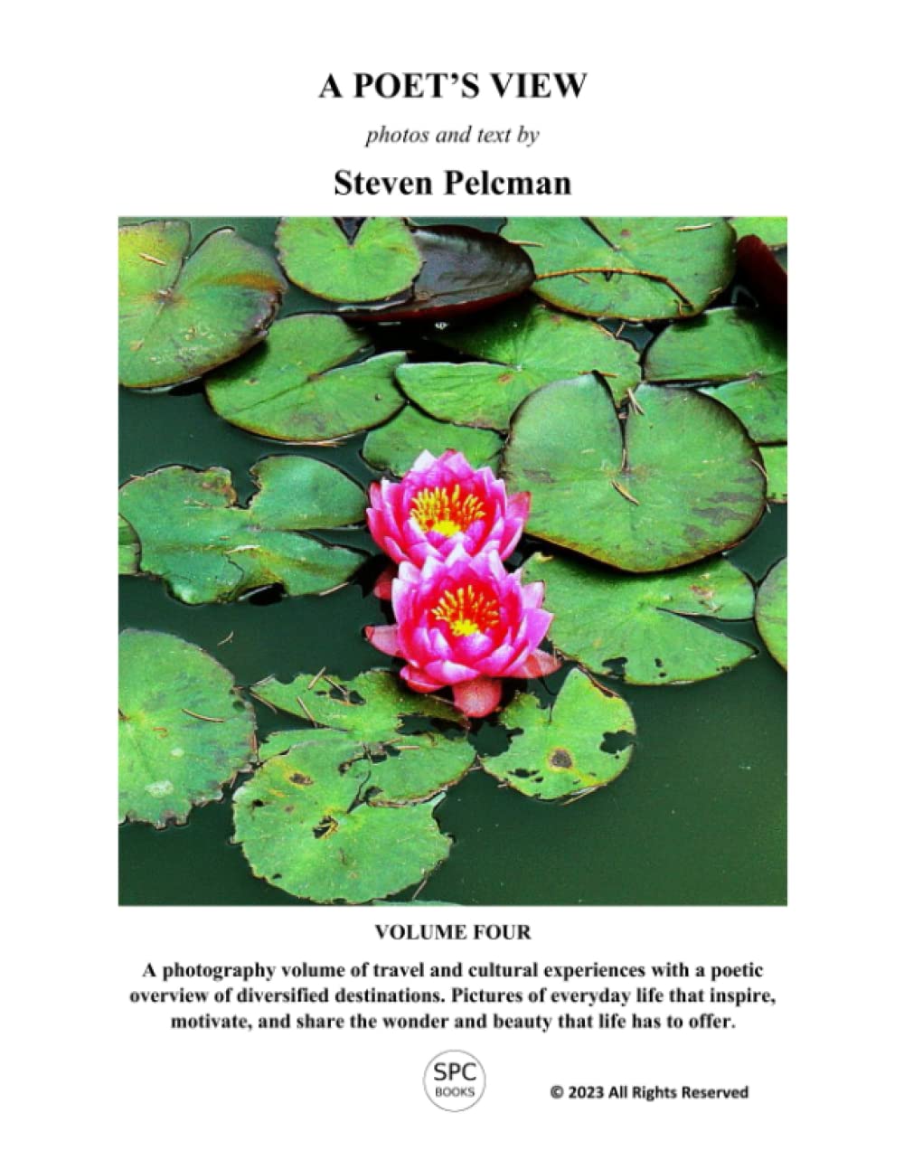 A POET'S VIEW VOLUME FOUR recueil de poésie contemporaine relié