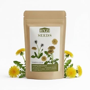 12,000+ Dandelion Seeds for Planting, Flower Seeds for Vibrant Gardens