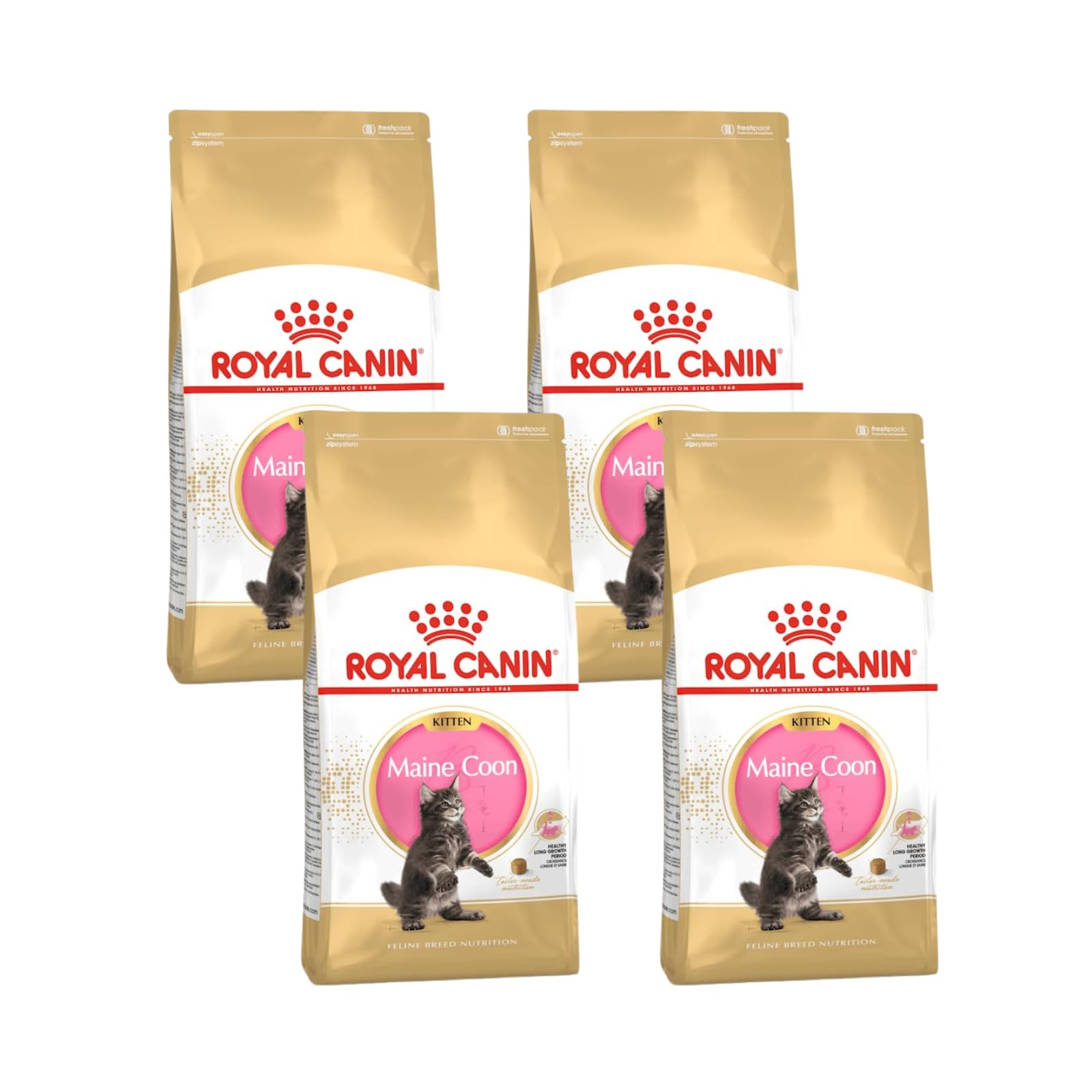 Royal Canin Maine Coon Kitten | Pack de 4 | 4 x 400 g | Croquettes pour Chats | Spécialement conçu pour Les Chatons Maine Coon | pour Soutenir la Digestion et Le système immunitaire