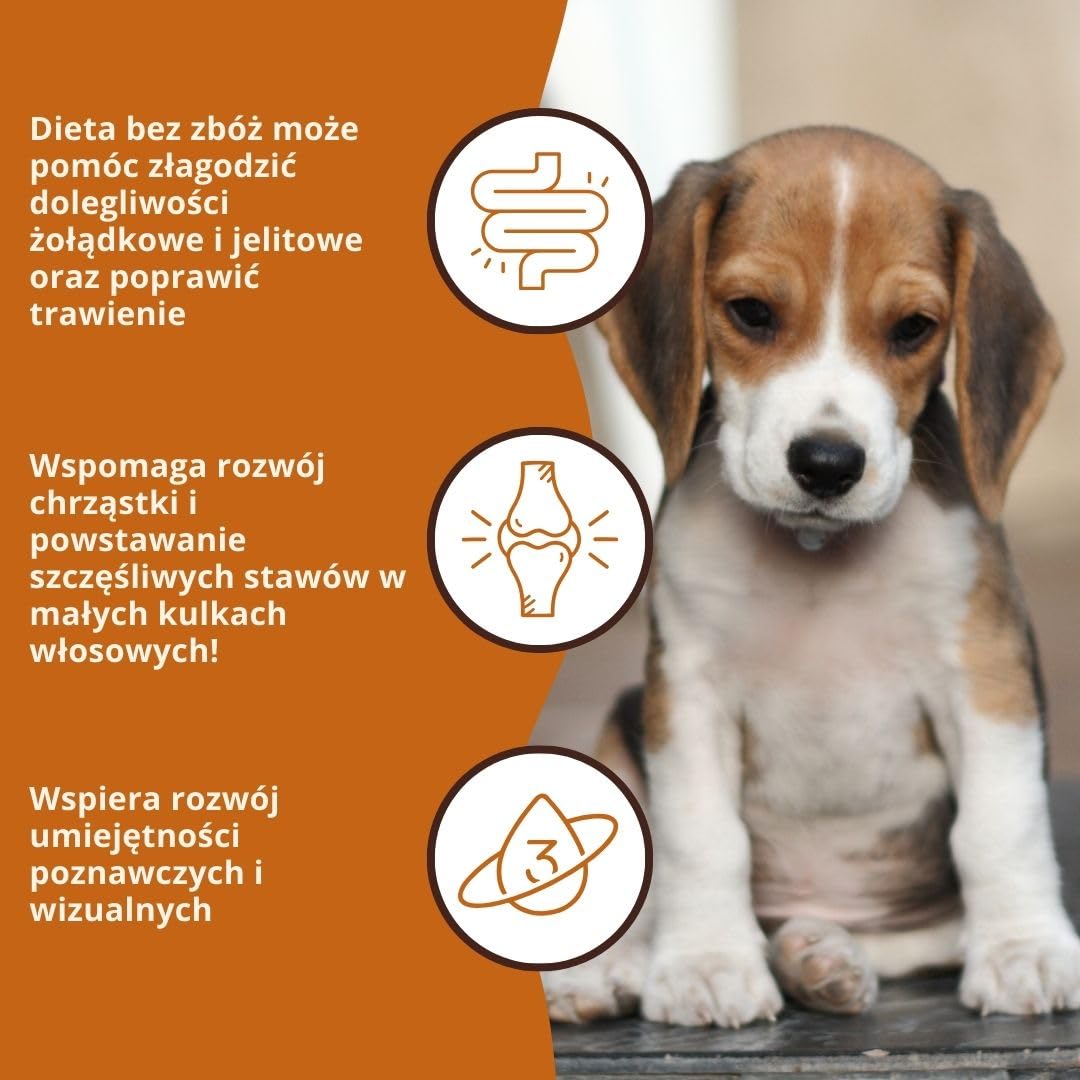 Wildfang® Junior Sucha Karma dla Szczeniąt 2kg – Karma dla Psa z Kurczakiem i Indykiem, Bez Zbóż i Glutenu, Z Naturalnych Składników, Bez Dodatku Cukru, Sucha Karma dla Małych Psów – 1 Sztuka
