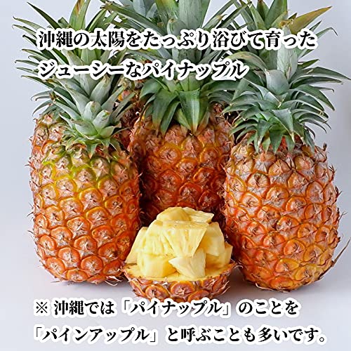 Amazon.co.jp: 沖縄県産パイナップル(パインアップル) 沖縄琉堂 (9kg