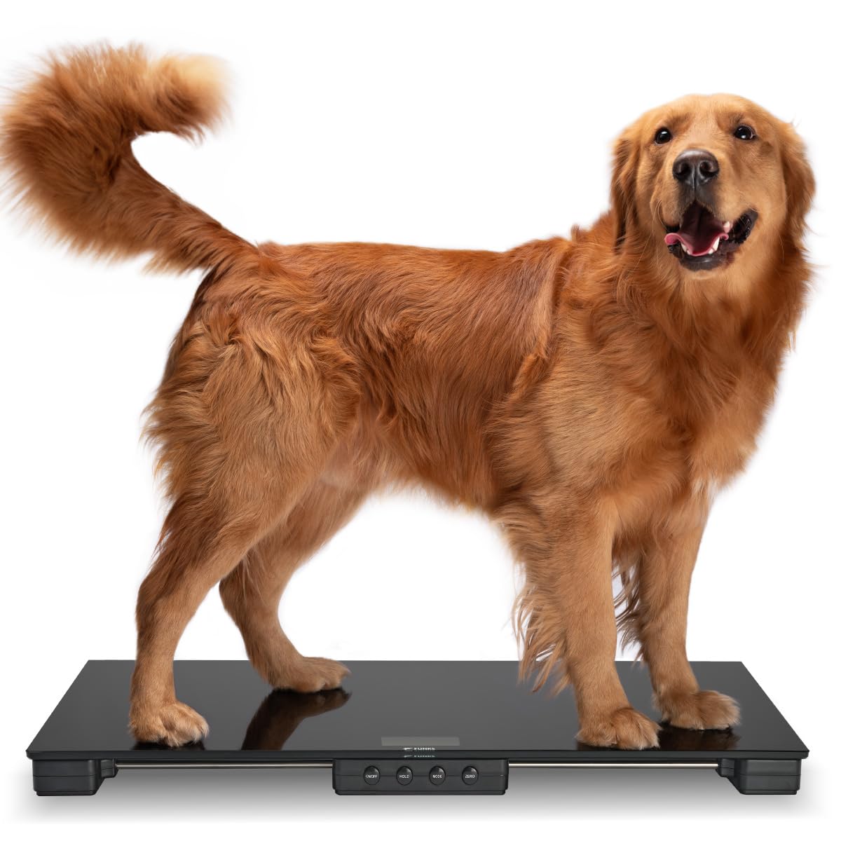 大型犬用Precision エクササイズペン Amazon | 犬用サークル アルティメットエクササイズペン UXP36