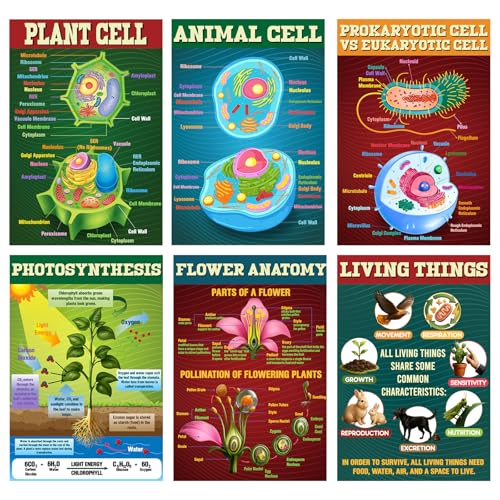 Pasimy 6 Pcs Science Posters Biology Posters for Classroom Biology & Life Science Charts for High School Biological Education Classroom Decorations, 11 x 17 Inches